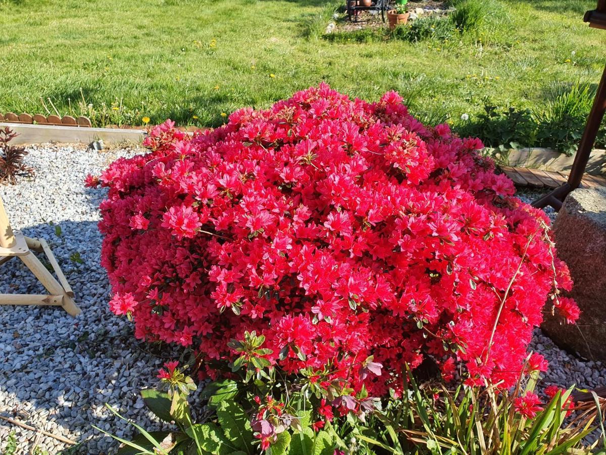 Couloumine Breizh Bed & Breakfast Saint-Aignan  Екстериор снимка